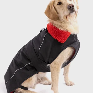 Black Red Dog Coat